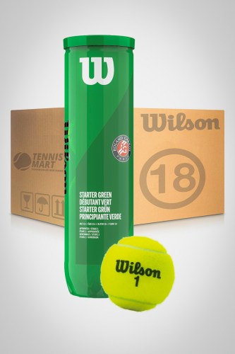 Коробка мячей для большого тенниса Wilson Roland Garros Clay (24 банки)