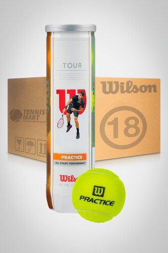 Коробка мячей для большого тенниса Wilson Tour Practice (18 банок)